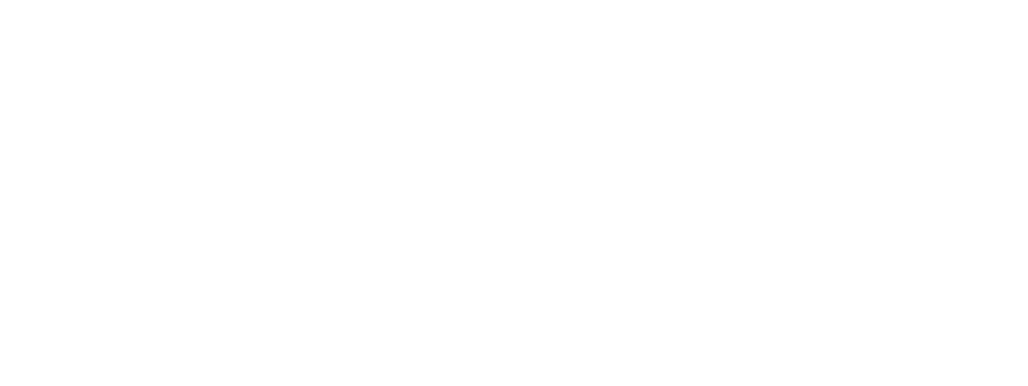 PRECISE Group Logo